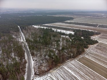 Działka rolna z lasami, blisko centrum Wyśmierzyc działka Wyśmierzyce