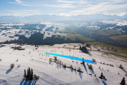 Działka rolna z potencjałem inwestycyjnym 5420 m² działka Nowotarski