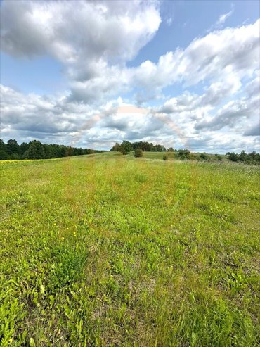 działka na sprzedaż 56303m2 działka Oracze