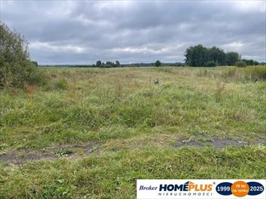 działka na sprzedaż 5400m2 działka Łąki