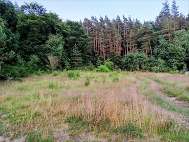 działka na sprzedaż 2138m2 działka Lubkowo