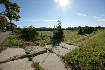 działka na sprzedaż 10671m2 działka Żarnowiec