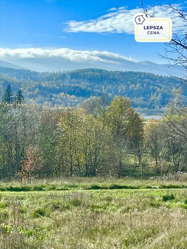 działka na sprzedaż 3000m2 działka Sosnówka