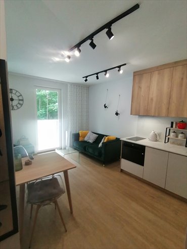 mieszkanie na wynajem 30m2 mieszkanie Łódź, Śródmieście, Pomorska