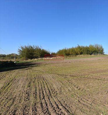 działka na sprzedaż 2500m2 działka Morawica