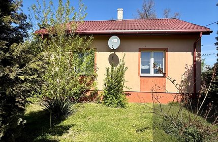 Dom z dużą działką i zabudowaniami w Potok Czarny dom Potok Biały