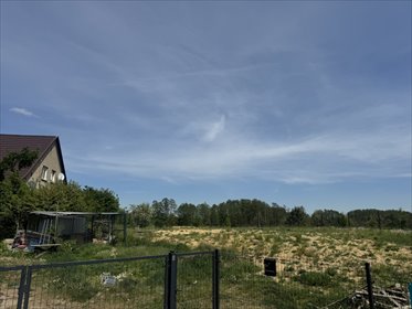 Komfort, zieleń i przestrzeń – wszystko w Poznaniu działka Poznań, Głuszyna, Głuszyna, Daszewicka