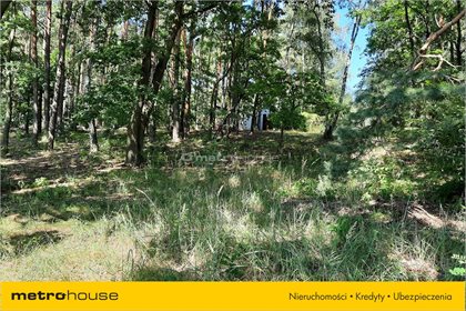 Działka rekreacyjna na sprzedaż Bartodzieje, Jastrzębia 2 447m2 Foto 5