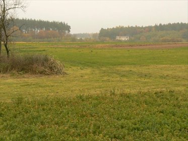 Polecam działkę rolno-zabudowlaną z lasami i pięknym krajobrazem działka Czemlewo