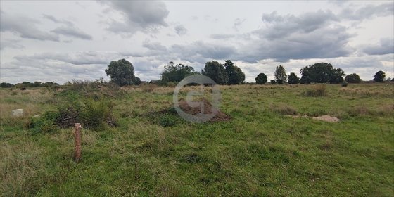 Polecam działkę budowlaną 1964 m² w Jeżykach - spokojna okolica działka Jeżyki