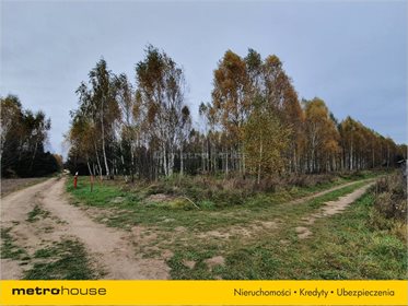 Działka budowlana na sprzedaż Rańsk, Dźwierzuty 1 094m2 Foto 6