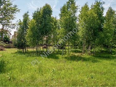 Działka budowlana 1500 m² z mediami w drodze, Czarny Las działka Czarny Las