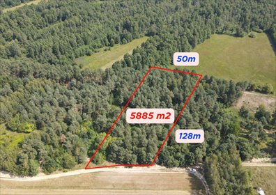 Działka rolna 5885 m² w Dziecinowie - polecam działka Dziecinów