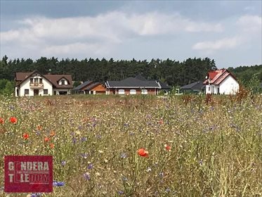 Działka inna pod dzierżawę Lusowo 27 864m2 Foto 1