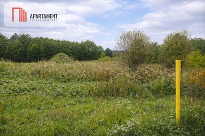 działka na sprzedaż 9900m2 działka Kominy, Rondo Warszawskie