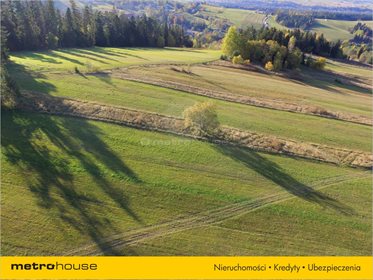 Działka rolna na sprzedaż Trybsz, Łapsze Niżne 3 000m2 Foto 3
