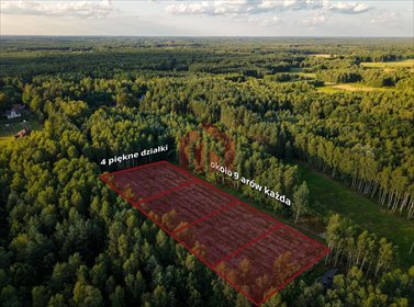 działka na sprzedaż 900m2 działka Czarna Sędziszowska