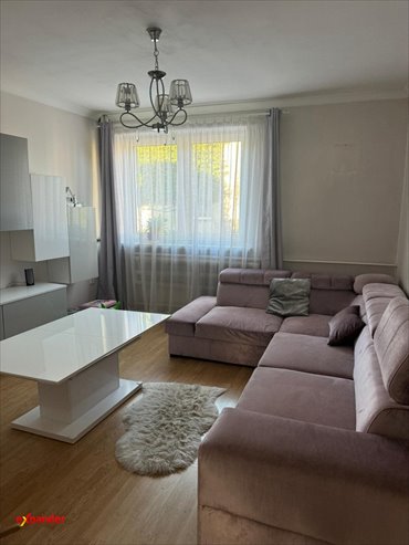 Funkcjonalny dom z lokalem usługowym, 180 m², Laski dom Laski, Główna