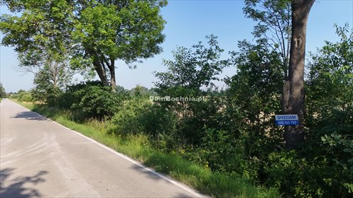Działka budowlana 1300 m² przy drodze asfaltowej działka Borek
