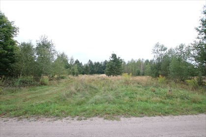 działka na sprzedaż 2000m2 działka Gołąb