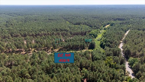 Działka 2500 m² z lasem, do zabudowy rekreacyjnej i całorocznej działka Chełsty