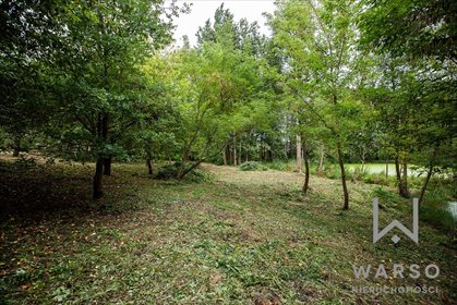 Działka budowlana na sprzedaż Gostynin, Bierzewice, Kutnowska 10 070m2 Foto 2