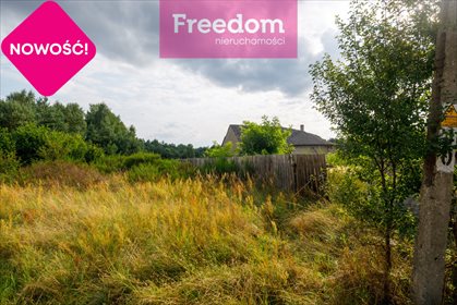 Działka rolna na sprzedaż Ożegów, Piaskowa 30 026m2 Foto 6