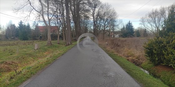Działka 1100 m2 z mediami i warunkami zabudowy. działka Bolemin