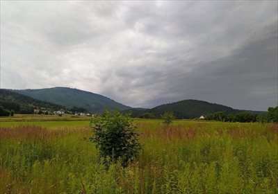 działka na sprzedaż 7100m2 działka Lipowa