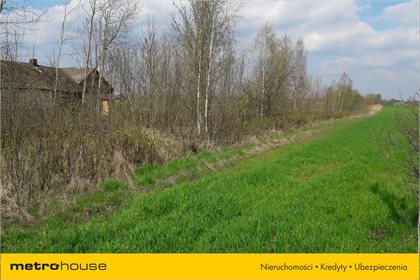Działka rolna na sprzedaż Żeliszew Duży, Kotuń 4 000m2 Foto 4