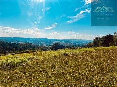 działka na sprzedaż 4681m2 działka Siemiechów