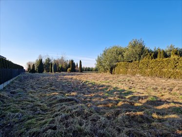 Działka w Pokrzywnicy – nieoficjalny środek Polski działka Pokrzywnica