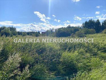 Działka rekreacyjna na sprzedaż Rodowo, Rodowo Małe 2 041m2 Foto 7