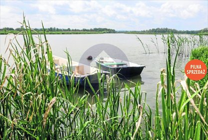 działka na sprzedaż 8000m2 działka Lubin