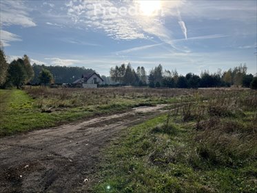 działka na sprzedaż 2000m2 działka Zamek Bierzgłowski, Sosnowa