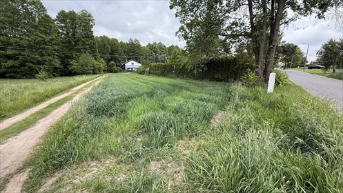 Stare Skoszewy: Działka z duszą i widokiem działka Stare Skoszewy