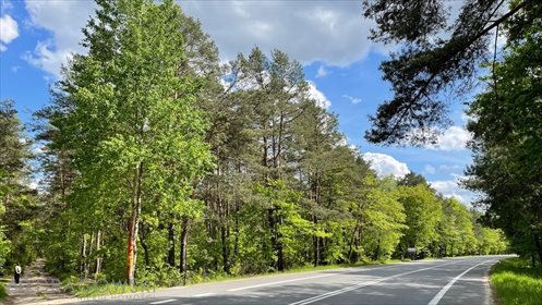 działka na sprzedaż 5369m2 działka Wilga