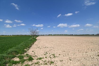 działka na sprzedaż 4200m2 działka Stoczek