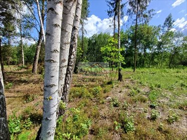 działka na sprzedaż 973m2 działka Kędzierówka