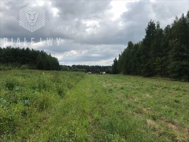 Działka siedliskowa na sprzedaż Ługowice 33 800m2 Foto 6
