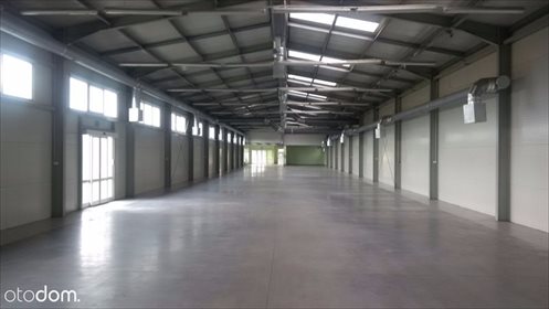 lokal użytkowy na wynajem 1250m2 lokal użytkowy Piaseczno