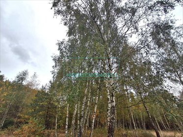 działka na sprzedaż 2800m2 działka Radonie