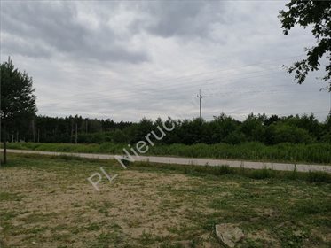 działka na sprzedaż 16200m2 działka Ciopan