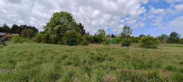 działka na sprzedaż 2446m2 działka Orłowicze