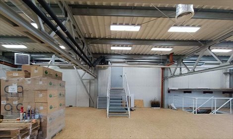 Magazyn na wynajem Kraków, Czyżyny, Łęg, ul. Sikorki 300m2 Foto 7