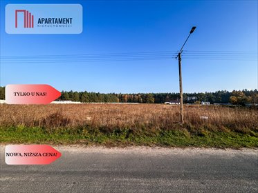 działka na sprzedaż 1006m2 działka Wałdowo Królewskie, Zacisze