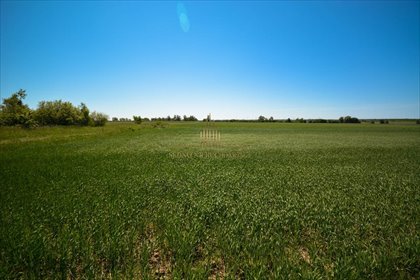 działka na sprzedaż 1080m2 działka Zielonka