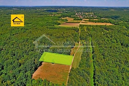 Działka rekreacyjna 3000 m² w Uściążu - zapraszam działka Uściąż, Uściąż