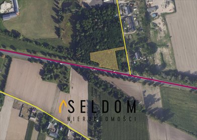 działka na sprzedaż 9582m2 działka Cienin Zaborny