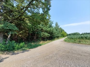 działka na sprzedaż 15300m2 działka Holendry Baranowskie